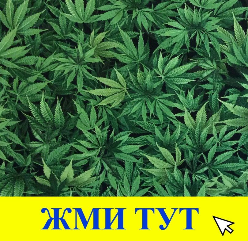 Купить наркотики в Кубинке